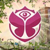 Avicii - Live @ Tomorrowland 2012 (Belgium) 2012.07.27.