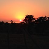 fridays night beach mix