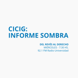 08 ABR 2015 - CICIG: informe sombra