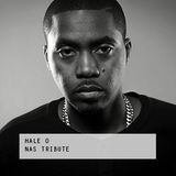 HALE ZERO : Nas Tribute