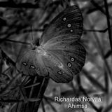 W&S P 002 - Richardas Norvila - Ahimsa - preview in the mix