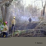 Incendi a la zona dels xops.