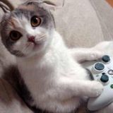 Playing Games - 24.06.2013 - mixed by Miss Hardtech