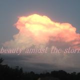 Beauty Amidst the Storm