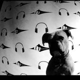 DJ DNO #5House