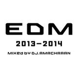 EDM 2013-2014 DJMIX