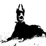Noha Doberman Full Set Tech House 2014