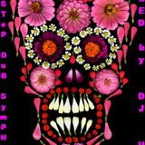PopSTeP DuB SymPHoNy (Dec 09) - DJ UMB
