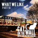 What We Like Part 18