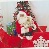 Greg's Christmas Oldies