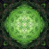 B.e.n. - "Psychedelic Bliss" - Part 2/7 ( Psy-Trance ) - 18h mix of Ultimate Trance Experience
