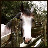 Andre Rheaume FRANCAIS Cloudcast #137