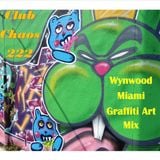 Club Chaos 222 Wynwood Miami Graffiti Art Mix