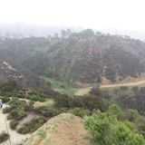 I've gone miles to take another step