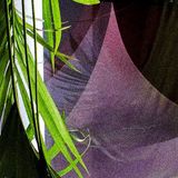 IVW Vol.2: Hum and Flux Weds at Euclidae Gdn