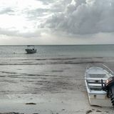 ISLA HOLBOX (CARIBE 2015) - Acorde On & COLORAMA