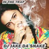 In the trap DJ jake da snake (soulection)
