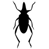 Kickroach January 2011 mixed by Sam Perez