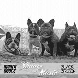 VML PODCAST 012 - MONRABEATZ, BLACK BIRDZ - BEACH, DOGS AND MUSIC!!!!