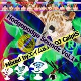 Hodgepodge Soundz vol.1(BASS MUSIC MIX)