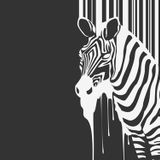 Cafee - Sonorus Tribe - Tech house (Original Mix)