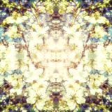 Springtime Synesthesia