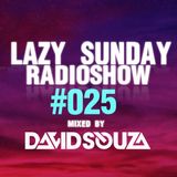 Lazy Sunday Radioshow #025 mixed by David Souza