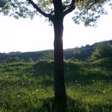 Yanniiisch - Boxentest 09.06.2013