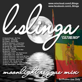 Culture Drop Works - Moonlight Reggae Mix - Remastered 2013