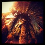 ZacGk // Sundown // OFFradio 16.6.2013