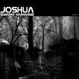 Dj Joshua - Album - Sombre harmonie (Epiteth) 13 Track