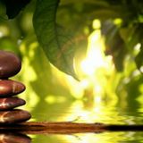 Capeau Meditation Time - Zen Garden