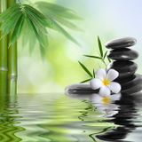 ~ Sound Therapy - Tibetan Bowl Zen ~