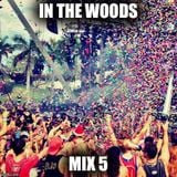 In The Woods Mix 5 (Progressive / Electro / Futur House Mix)