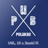 Pub Pelukas vol.14 - David M