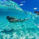 BENGAL MIX early summer mix 2014