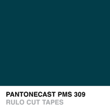PANTONECAST PMS 309