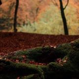 Katror - 18