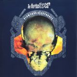 Herbaliser live - Total Eclipse Festival 1999 - Couleur 3