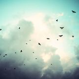 touch the sky