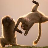 Dance first. Think later. It's the natural order.