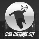 Seoul Electronic City #30