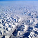 アカギのSiberian Mix