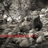 Bigfoot Radio 03-11-2016