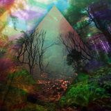 L.M.T : WINTER FOREST : DARKPSY - FOREST DJ SET 2015. 12. 18.