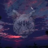 Persian _ Live Les NUITS de la JUNGLE