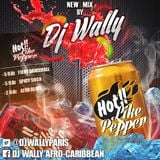 DJ WALLY - HOT LIKE PEPPER 2014 (DANCEHALL, SOCA & AFRO BEATS)