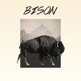 BISON