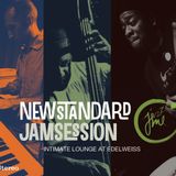 2013 05 Bill Cook's DJ set @ New Standard Jam Session / Edelweiss, Gorlitzer Park, Berlin,DE