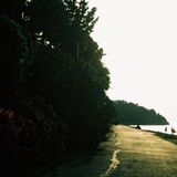 Playlist, vol.25